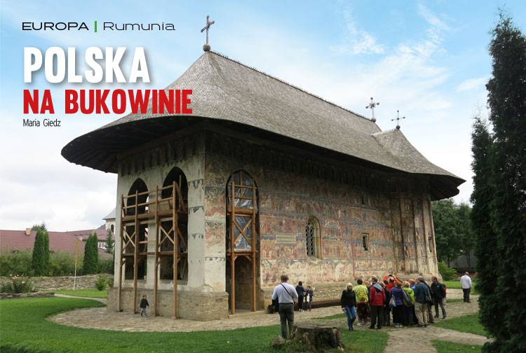 Losowy darmowy artykuł